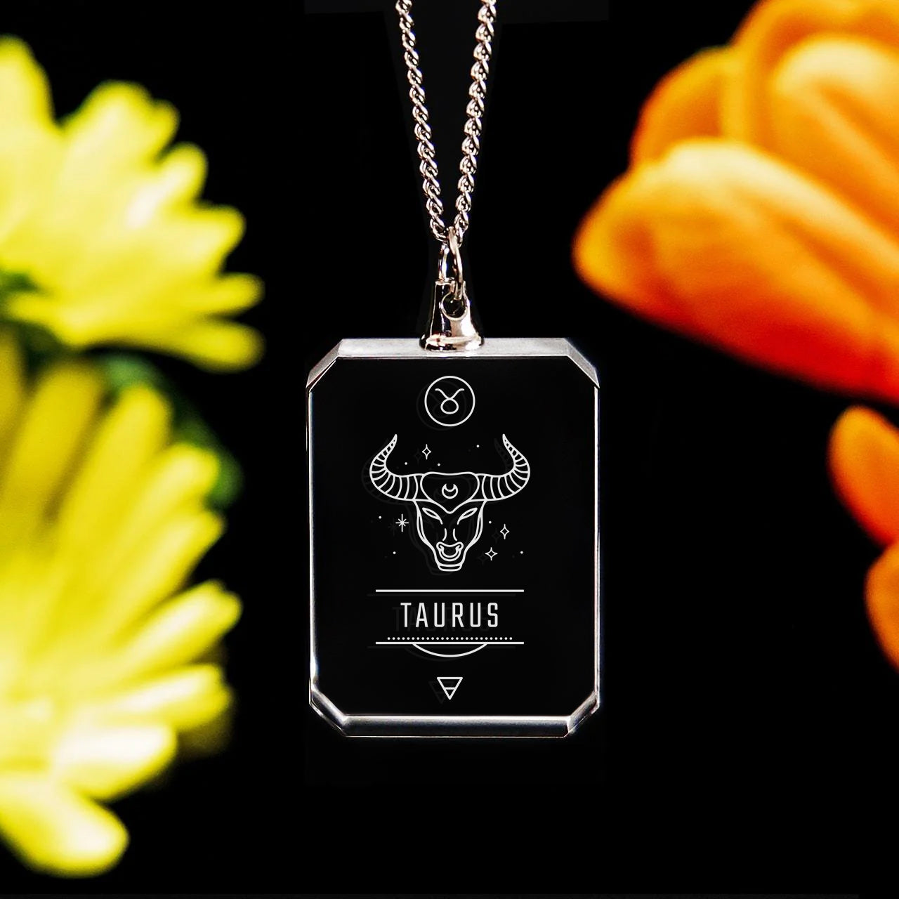 2D Zodiac Necklace - Taurus Sign - Large - Image 1