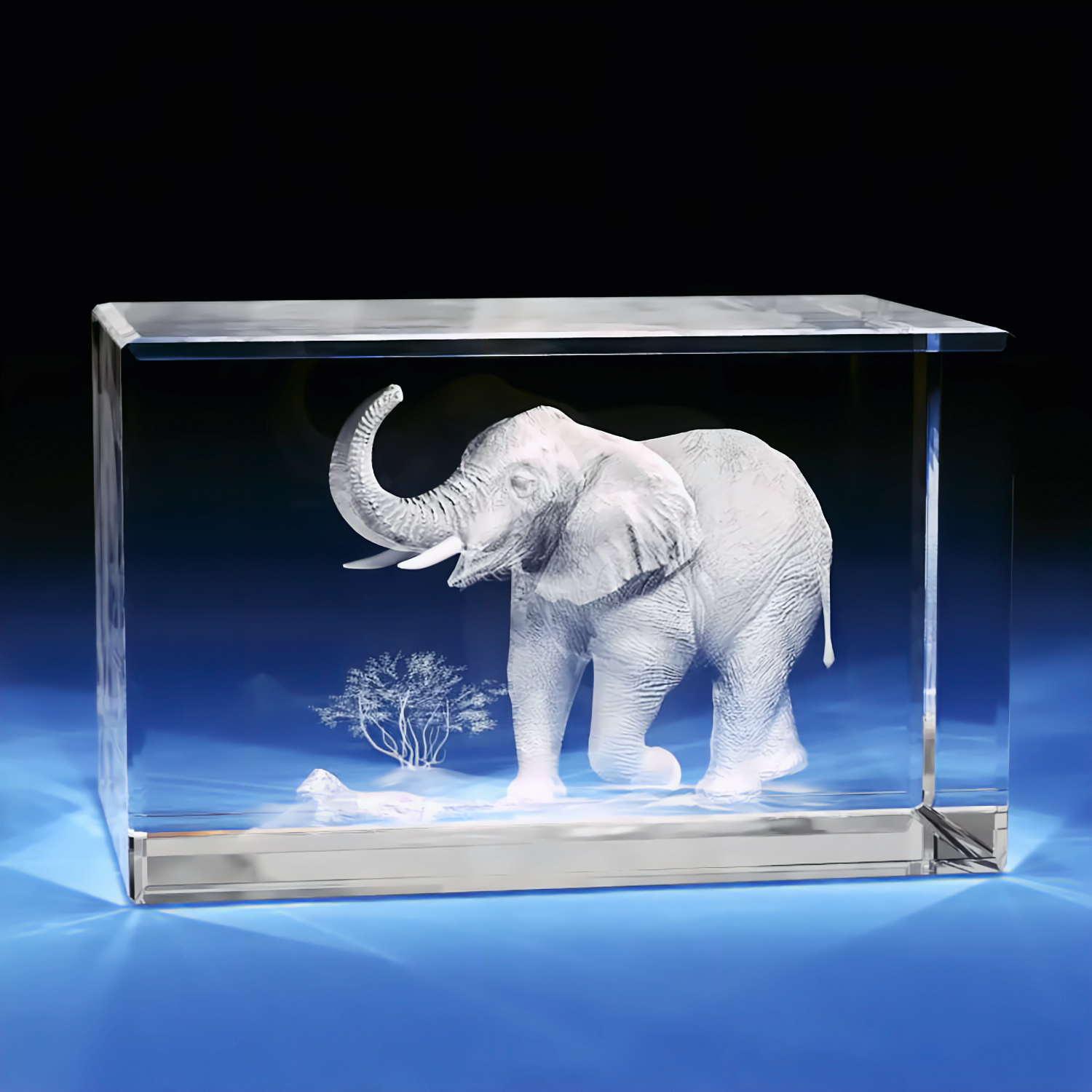 3D Elephant Crystal Engraving - Rectangle - XL - Image 1