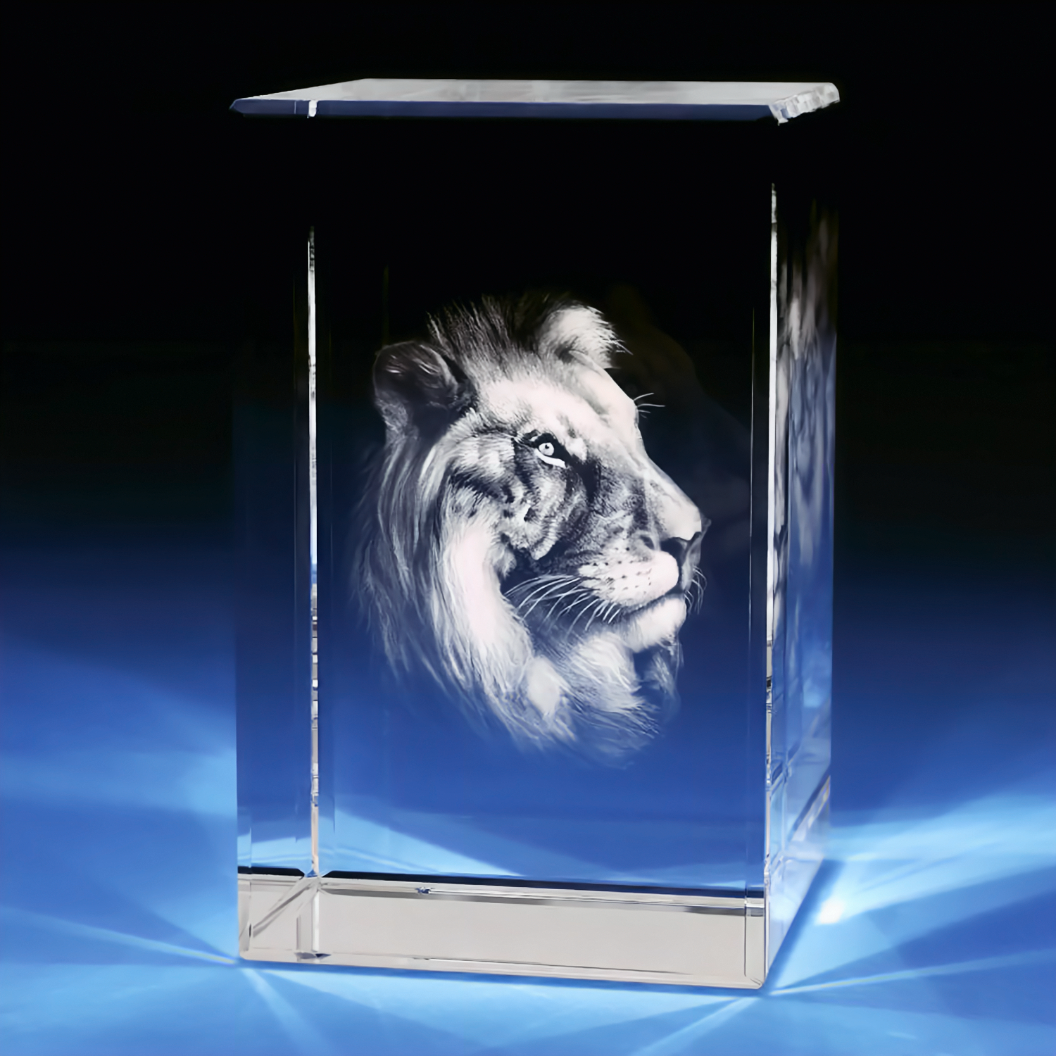3D Lion Engraving Crystal - Rectangle - Small - Image 1