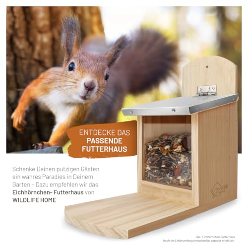 wildtier liebe Eichhörnchenfutter 2kg für Eichhörnchen & Streifenhörnchen I Ganzjahres-Futter Eichhörnchen,Streifenhörnchen Futter