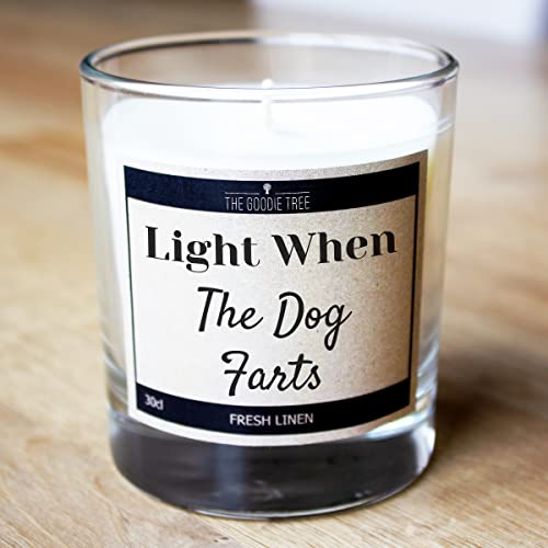 Light When The Dog F@rts Scented Candle - Includes Gift Box - Funny Gift Ideas - Christmas - Birthday Gift - Gifts For Mum - Gifts For Dad - For Men & Women, Friends