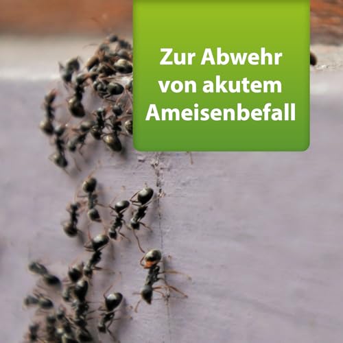 ARDAP Repell Ameisenmittel 500g - Ameisenpulver - Ameisenstreumittel - Mittel gegen Ameisen - Ameisenpulver zum Streuen draußen - Ameisenmittel für draußen - Wirkt effektiv bei akutem Befall (PT19)