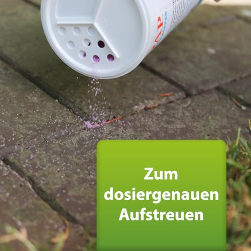 ARDAP Repell Ameisenmittel 500g - Ameisenpulver - Ameisenstreumittel - Mittel gegen Ameisen - Ameisenpulver zum Streuen draußen - Ameisenmittel für draußen - Wirkt effektiv bei akutem Befall (PT19)