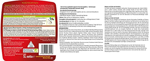 Roundup Unkrautfrei Express, 5 Liter Nachfüll-Kanister, Fertigmischung zur Bekämpfung von Unkräutern und Gräsern