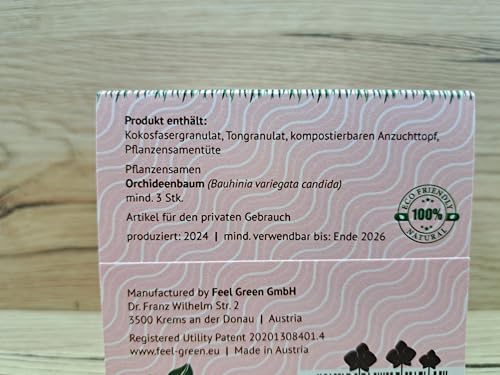 Feel Green 296572 Celebrations Ecocube, Orchideenbaum, Holzwürfel Mit Lasergravur «Einen Wunderschönen Geburtstag», Nachhaltige Geschenkidee, Anzuchtset, Made in Austria