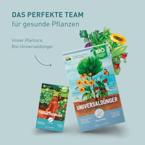 Plantura Bio-Schneckenkorn, regenfester Power-Wirkstoff, hochwirksame Schneckenbekämpfung an Obst Gemüse & Zierpflanzen, schonend für Haustiere, Vorteilspack: 350 g für 500 m²
