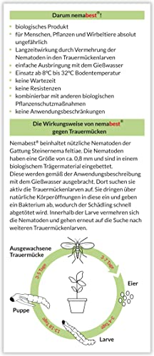 nemabest® SF Nematoden 6 Mio. (60 Pflanzen/12m²) gegen Trauermücken