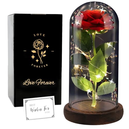 Ewige Rose im Glas Die Schöne und das Biest Ewige Rosen, Geschenke für Frauen Rose Geschenk für Mama, in Einer Glaskuppel mit LED-Lichtfür Frau am Muttertag Geburtstag Valentinstag Jahrestag