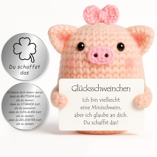 Tixlux Pocket Hug Glücksschweinchen, Kreative Strickwolle Minischwein Puppe und Kleine Umarmung Glücksbringer (Silber Ⅱ), Mutmacher Geschenk, Gute Besserung Geschenk, Geschenk zum Abschluss