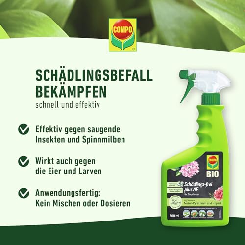 COMPO Schädlings-frei plus AF - Spray gegen Blattläuse, Schildläuse, Wollläuse, Buchsbaumzünsler & Co. - für Zierpflanzen und Kernobst - 500 ml - anwendungsfertiges Insektizid
