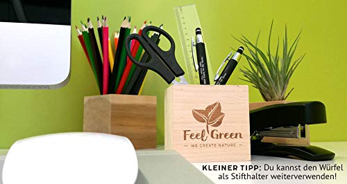 Feel Green 296572 Celebrations Ecocube, Orchideenbaum, Holzwürfel Mit Lasergravur «Einen Wunderschönen Geburtstag», Nachhaltige Geschenkidee, Anzuchtset, Made in Austria