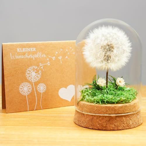 Yobeyo Wunscherfüller Pusteblume im Glas - Besondere Geschenkidee, Geburtstagsgeschenk für Frauen, Glücksbringer und Kleinigkeit für Freundin, Deko Geschenke im Glas, Blumen Geschenk