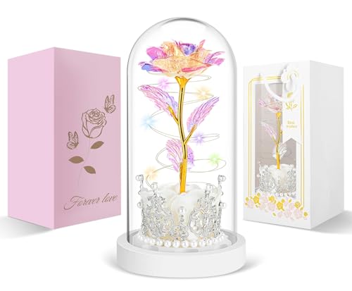 LinjunFa Eternal Rose-Forever Rose Gift Women,Birthday Gift for Women,Rose Gift for Her,Light Up Galaxy Roses in Glass,Beauty and The Beast Rose with LED Light,Flower Present for Women,Girlfriend