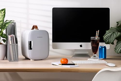 Subcold Pro4 Luxury Mini Fridge Cooler | 4 Litre / 6 Cans | Portable Small Fridge for the Office, Bedroom, Car, Travel, Skincare & Cosmetics (Grey New)