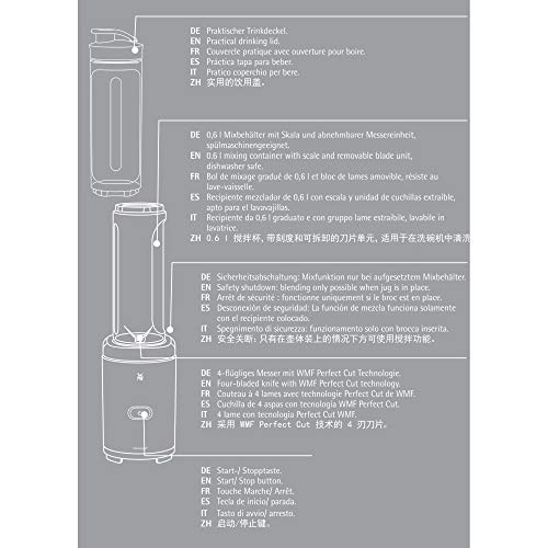 WMF Kult X Mix & Go Mini Smoothie Maker, Standmixer, Blender elektrisch, Shake Mixer 300 Watt Leistung, Tritan-Kunststoff Flasche 600ml, auslaufsicherer Schraubdeckel, rutschfeste Füße, Silber/Schwarz