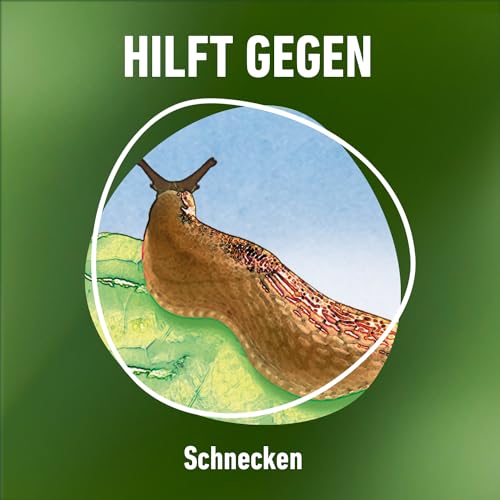 COMPO Schnecken-frei - Schneckenkorn - regenfest - Streugranulat gegen Schnecken im Vorteilspack - reicht für bis zu 1800 m² - 4x225 g, Schneckenfrei