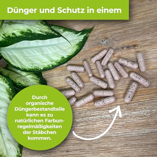 PROTECT GARDEN Lizetan Plus Combistäbchen, Langzeit-Schädlingsfrei und Premium-Dünger in Einem, 40 Stück