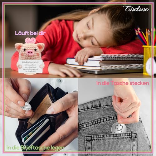 Tixlux Pocket Hug Glücksschweinchen, Kreative Strickwolle Minischwein Puppe und Kleine Umarmung Glücksbringer (Silber Ⅱ), Mutmacher Geschenk, Gute Besserung Geschenk, Geschenk zum Abschluss