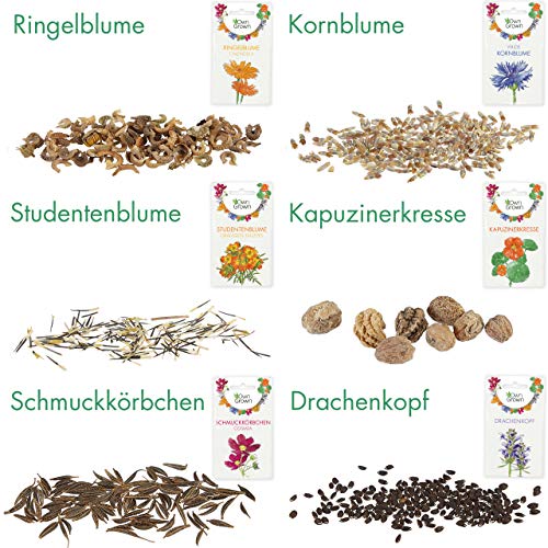 Essbare Blumen Samen Set : Delikatess Blüten Blumensamen Set mit 6 Sorten Blumen Saatgut – Essbare Blüten Samen – Essbare Blumen für Torte – Essbare Blüten Tortendeko – Blumen Essbar von OwnGrown