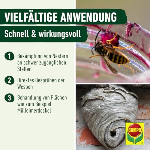 COMPO WespenSTOPP – Wespenspray mit Sprührohr – wirkt gegen Wespen und Wespennester – Sofort- und Langzeitwirkung – Wespenspray – 500 ml, Grün