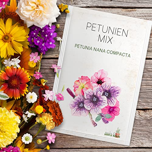 Blumen Samen Set - 10 bunte Blumensamen Sorten für den Garten oder Balkon, die Bienenweide und Wildblumenwiese - Blumenwiese Samen - bunte Wildblumensamen Mischung