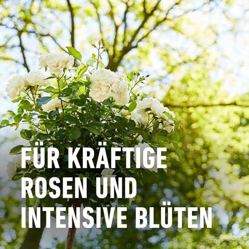 Compo Rosendünger Flüssig 1 l