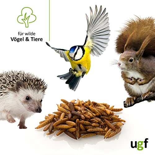 UGF - Hermetia Besser als getrocknete Mehlwürmer 3-Liter ≈ 430g, 85-mal mehr Kalzium als lebende Mehlwürmer, BSFL Futter für Wildvögel, Schildkröten, Ratten, Igel, Hamster - Soldatenfliegenlarven