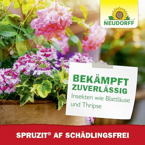 Neudorff Spruzit AF Schädlingsfrei – Bekämpft Schädlinge wie Buchsbaumzünsler, Blattläuse, Thripse an Zierpflanzen, Gemüse, Obst und Kräutern, 500 ml