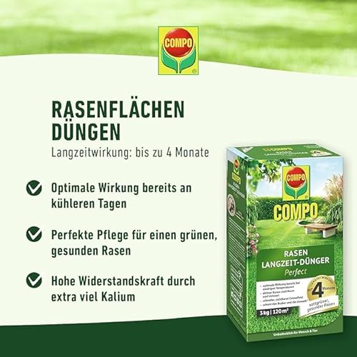 COMPO Rasendünger mit Langzeitwirkung - Keine Chance für Moos und Unkraut – 1,5 kg für 60 m² - COMPO Rasen Langzeit-Dünger Perfect