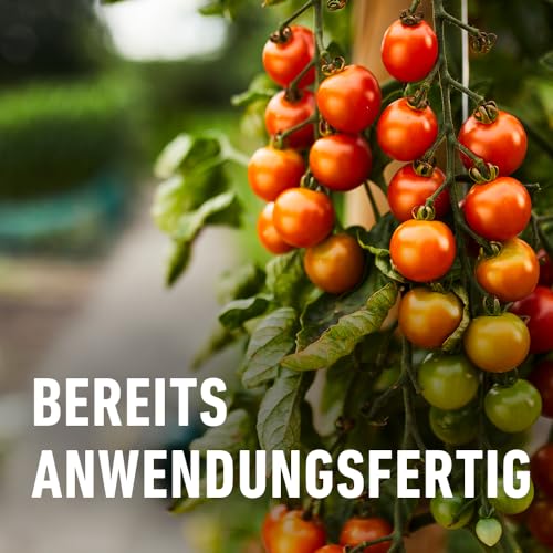 COMPO Schädlings-frei plus AF - Spray gegen Blattläuse, Schildläuse, Wollläuse, Buchsbaumzünsler & Co. - für Zierpflanzen und Kernobst - 500 ml - anwendungsfertiges Insektizid