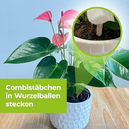 PROTECT GARDEN Lizetan Plus Combistäbchen, Langzeit-Schädlingsfrei und Premium-Dünger in Einem, 40 Stück