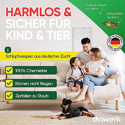 anwerk® Schlupfwespen gegen Lebensmittelmotten - 8 Karten (2 Karten à 4 Lieferungen) - Effektiv Lebensmittel Motten bekämpfen - Alternative zur Mottenfalle, Mottenspray, Pheromonfalle