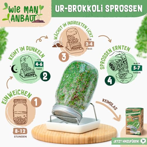 ZenGreens® - Bio Ur-Brokkoli Sprossen Samen - Wähle zwischen 10g, 200g und 500g - Brokkolisprossen mit hohem Sulforaphan-Gehalt - Stengelkohl Samen - Brokkolisamen - Keimrate von über 97%
