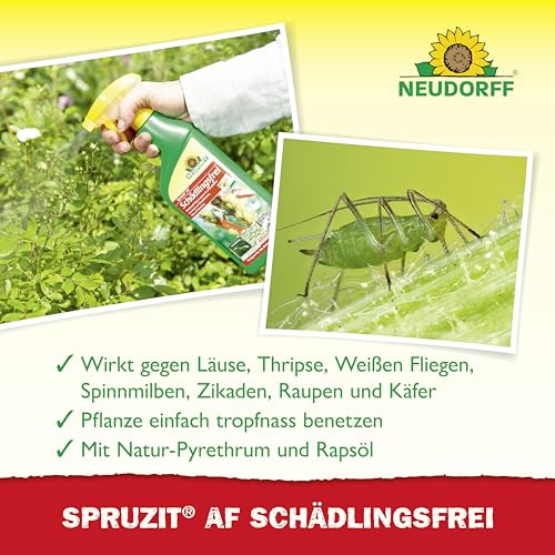 Neudorff Spruzit AF Schädlingsfrei – Bekämpft Schädlinge wie Buchsbaumzünsler, Blattläuse, Thripse an Zierpflanzen, Gemüse, Obst und Kräutern, 500 ml