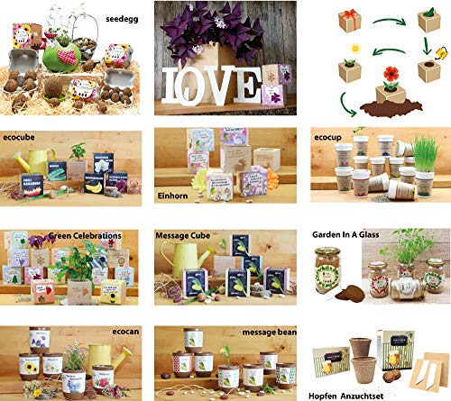 Feel Green 296251 Ecocube Schokoladenblume, Blüten Duften Nach Schokolade, Nachhaltige Geschenkidee (100% Eco Friendly), Grow Your Own/Anzuchtset, Pflanzen Im Holzwürfel, Made in Austria