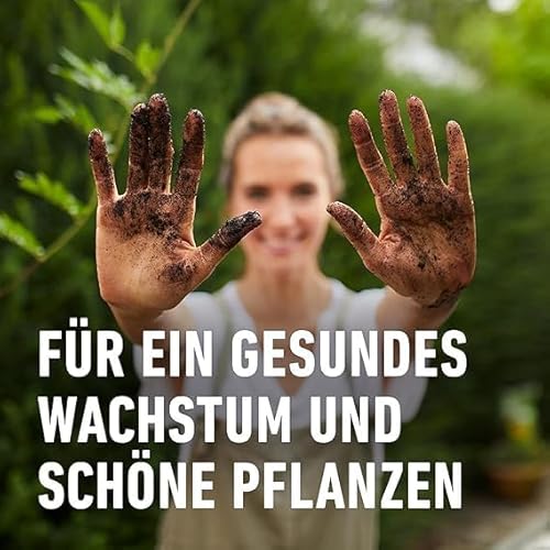 COMPO SANA Qualitäts-Blumenerde mit 12 Wochen Dünger für alle Zimmer-, Balkon- und Gartenpflanzen 10 l
