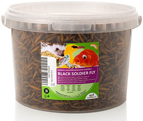 UGF - Hermetia Besser als getrocknete Mehlwürmer 3-Liter ≈ 430g, 85-mal mehr Kalzium als lebende Mehlwürmer, BSFL Futter für Wildvögel, Schildkröten, Ratten, Igel, Hamster - Soldatenfliegenlarven