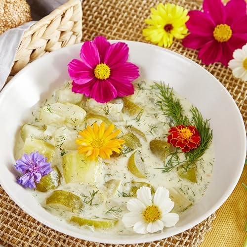 Essbare Blumen Samen Set : Delikatess Blüten Blumensamen Set mit 6 Sorten Blumen Saatgut – Essbare Blüten Samen – Essbare Blumen für Torte – Essbare Blüten Tortendeko – Blumen Essbar von OwnGrown