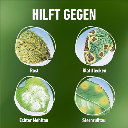 Compo Duaxo Universal Pilz-frei AF, Bekämpfung von Pilzkrankheiten an Zierpflanzen, Gemüse und Kräutern, Anwendungsfertig, 750 ml