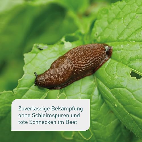 Plantura Bio-Schneckenkorn, regenfester Power-Wirkstoff, hochwirksame Schneckenbekämpfung an Obst Gemüse & Zierpflanzen, schonend für Haustiere, Vorteilspack: 350 g für 500 m²
