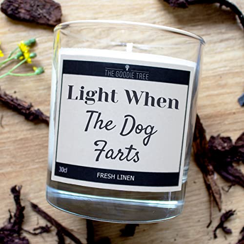 Light When The Dog F@rts Scented Candle - Includes Gift Box - Funny Gift Ideas - Christmas - Birthday Gift - Gifts For Mum - Gifts For Dad - For Men & Women, Friends