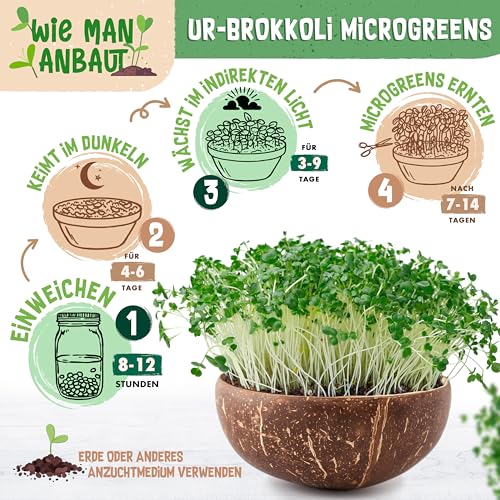 ZenGreens® - Bio Ur-Brokkoli Sprossen Samen - Wähle zwischen 10g, 200g und 500g - Brokkolisprossen mit hohem Sulforaphan-Gehalt - Stengelkohl Samen - Brokkolisamen - Keimrate von über 97%
