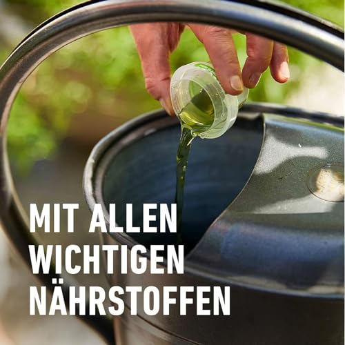 Compo Rosendünger Flüssig 1 l