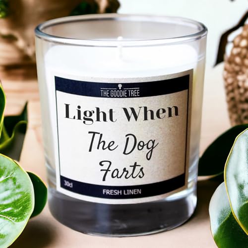Light When The Dog F@rts Scented Candle - Includes Gift Box - Funny Gift Ideas - Christmas - Birthday Gift - Gifts For Mum - Gifts For Dad - For Men & Women, Friends