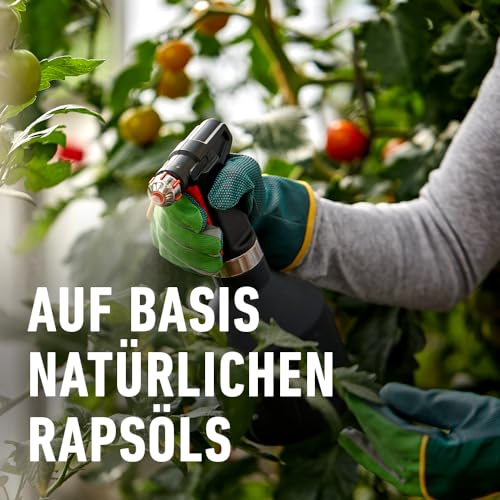 COMPO Schädlings-frei plus AF - Spray gegen Blattläuse, Schildläuse, Wollläuse, Buchsbaumzünsler & Co. - für Zierpflanzen und Kernobst - 500 ml - anwendungsfertiges Insektizid