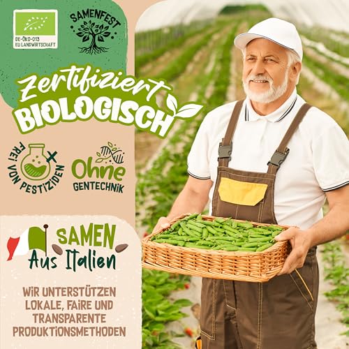 ZenGreens® - Bio Ur-Brokkoli Sprossen Samen - Wähle zwischen 10g, 200g und 500g - Brokkolisprossen mit hohem Sulforaphan-Gehalt - Stengelkohl Samen - Brokkolisamen - Keimrate von über 97%
