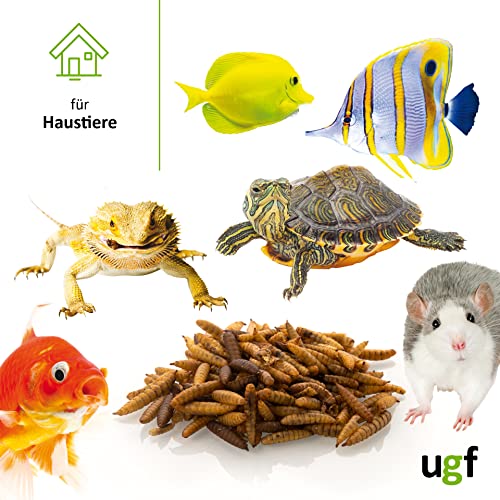 UGF - Hermetia Besser als getrocknete Mehlwürmer 3-Liter ≈ 430g, 85-mal mehr Kalzium als lebende Mehlwürmer, BSFL Futter für Wildvögel, Schildkröten, Ratten, Igel, Hamster - Soldatenfliegenlarven