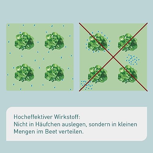 Plantura Bio-Schneckenkorn, regenfester Power-Wirkstoff, hochwirksame Schneckenbekämpfung an Obst Gemüse & Zierpflanzen, schonend für Haustiere, Vorteilspack: 350 g für 500 m²