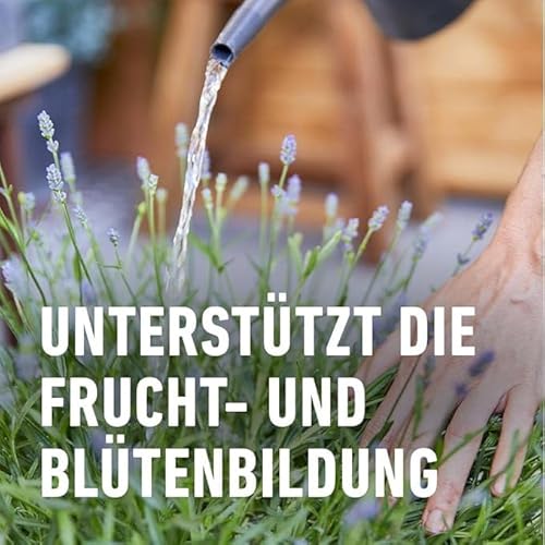COMPO Mediterraner Pflanzendünger – Spezial-Flüssigdünger für mediterrane Pflanzen – 500 ml