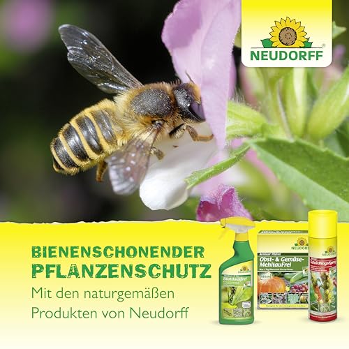 Neudorff Spruzit AF Schädlingsfrei – Bekämpft Schädlinge wie Buchsbaumzünsler, Blattläuse, Thripse an Zierpflanzen, Gemüse, Obst und Kräutern, 500 ml